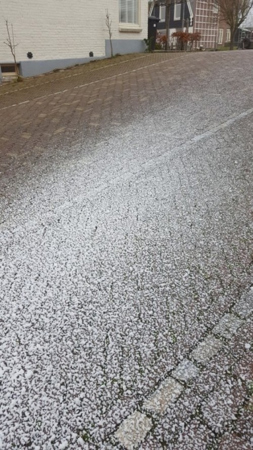 Sneeuwmachine (incl. 5ltr vloeistof)